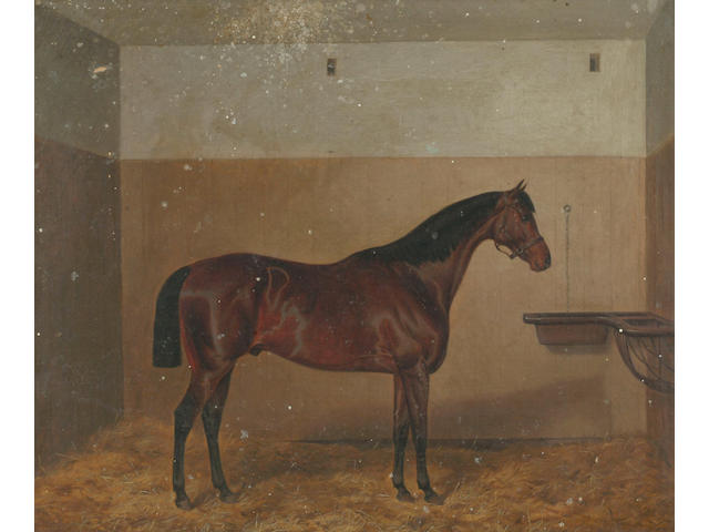 Circle of John Alfred Wheeler (1821-1903) ''The Doctor' - a bay horse in a loose box' 50 x 60cm