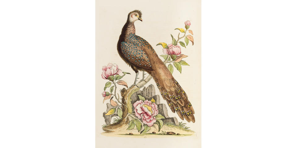 EDWARDS (GEORGE) A Natural History of Uncommon Birds, and of some other rare and Undescribed Animals [-Gleanings of Natural History], 7 vol.