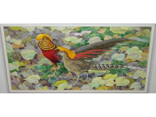 Charles Frederick Tunnicliffe RA (1901-1976) British Golden pheasant and hen,