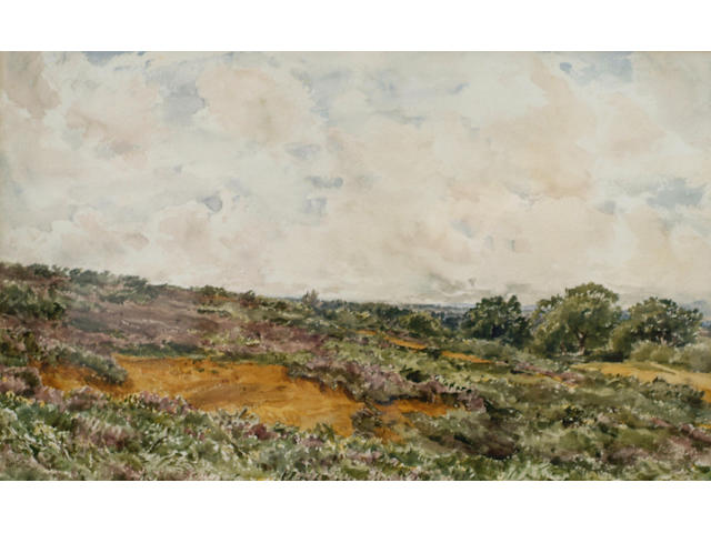 Thomas Collier (1840-1891) 'Fittleworth Common, Sussex', 31 x 50cm
