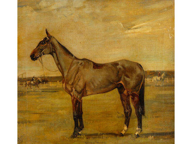 Anna Colmore (1889-1973) "Roman Hackle" 46 x 50cm (18 x 19&#190;in).