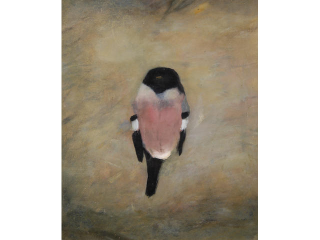 Mary Newcomb (b.1922) Bullfinch 48.5 x 41cm (19 x 16in).