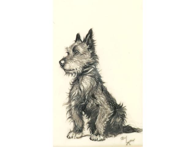 Cecil Aldin (1870 - 1935) A Cairn Terrier,