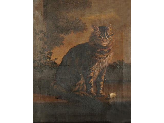 English School, 19th Century Portrait of a cat.