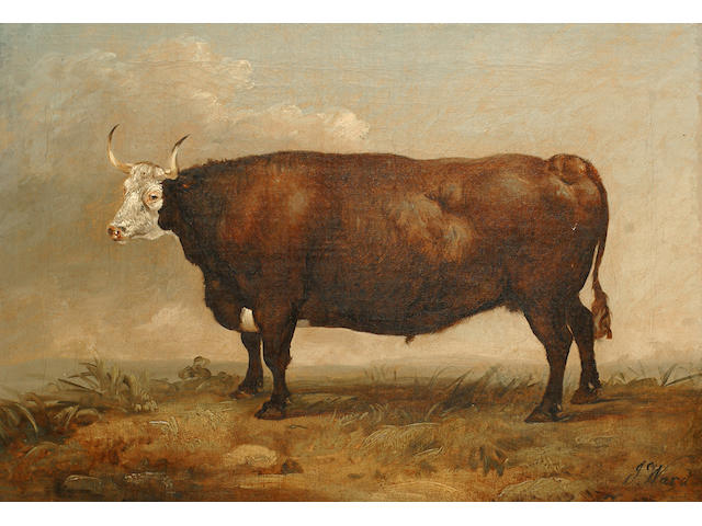 James Ward (British, 1769-1859) A bull in a landscape.