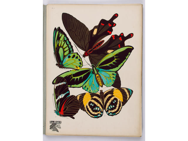 SEGUY (E.A.) Papillons