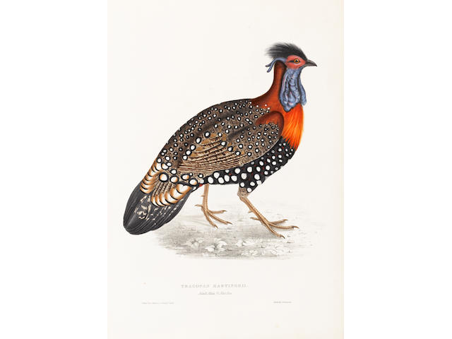 GOULD (JOHN) A Century of Birds from the Himalaya Mountains, FIRST EDITION, FIRST ISSUE