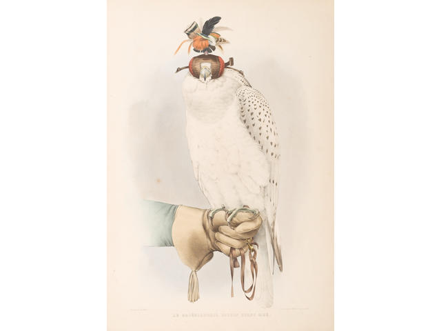 SCHLEGEL (HERMAN) and ABRAHAM HENRIK VERSTER VAN WULVERHOLST Trait&#233; de fauconnerie