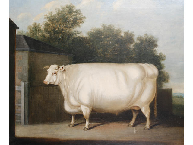 Follower of William Henry Davis (British, ?-1865) A prize white bull standing beside a farmyard gate