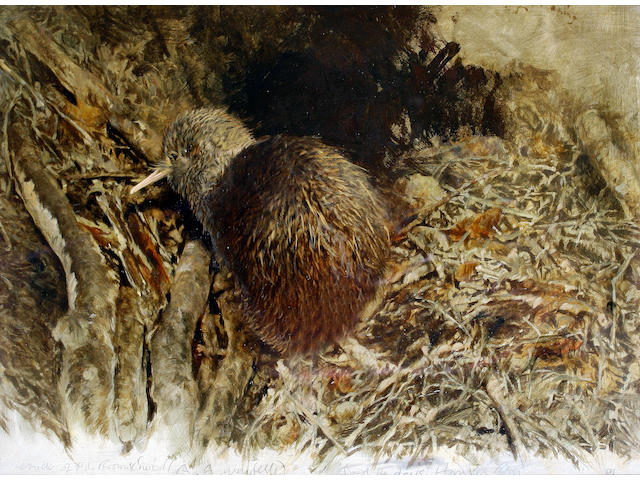Raymond Harris Ching (born 1939) Kiwi chick