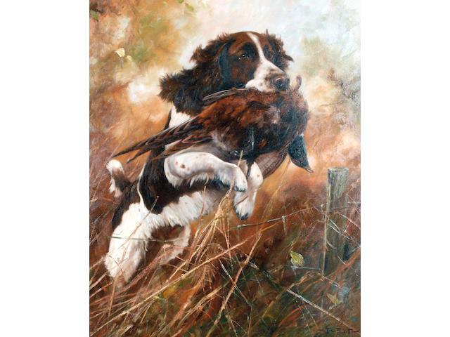 John Trickett (British, 1953) A Springer Spaniel retrieving