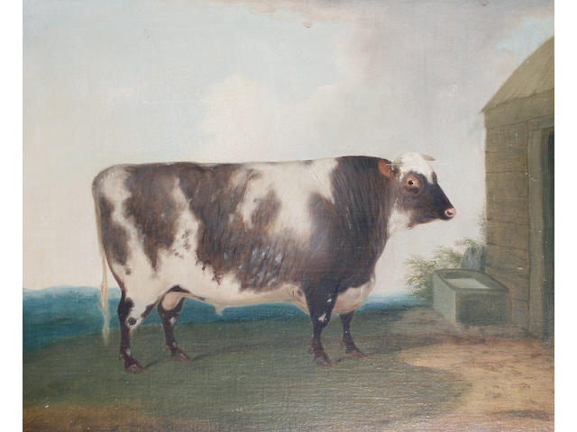 English School, 19th Century A prize bull standing beside a water trough