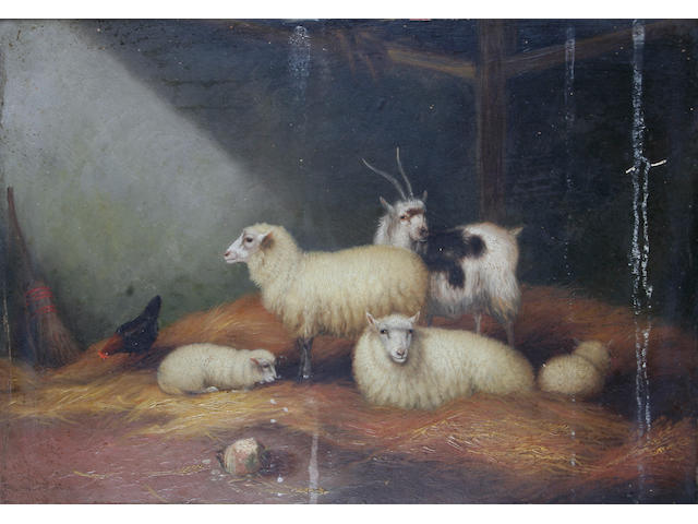 H. Jackson (British, circa 1900) Sheep in a barn,