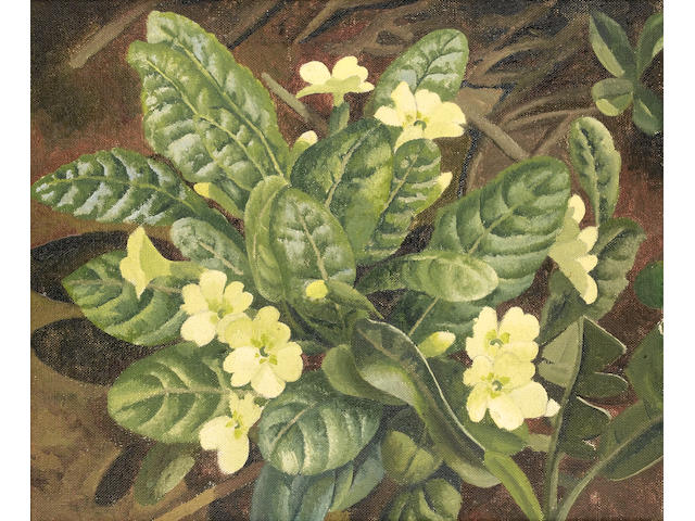 Sir Stanley Spencer R.A. (British, 1891-1959) Primroses 23 x 28 cm. (9 x 11 in.)
