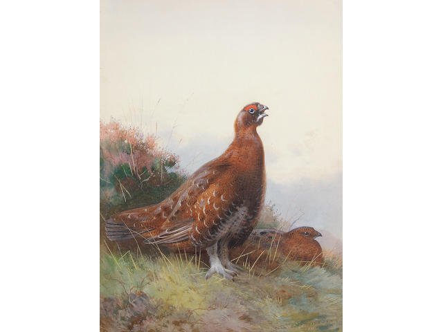 Archibald Thorburn (British, 1860-1935) 'The Morning Call'