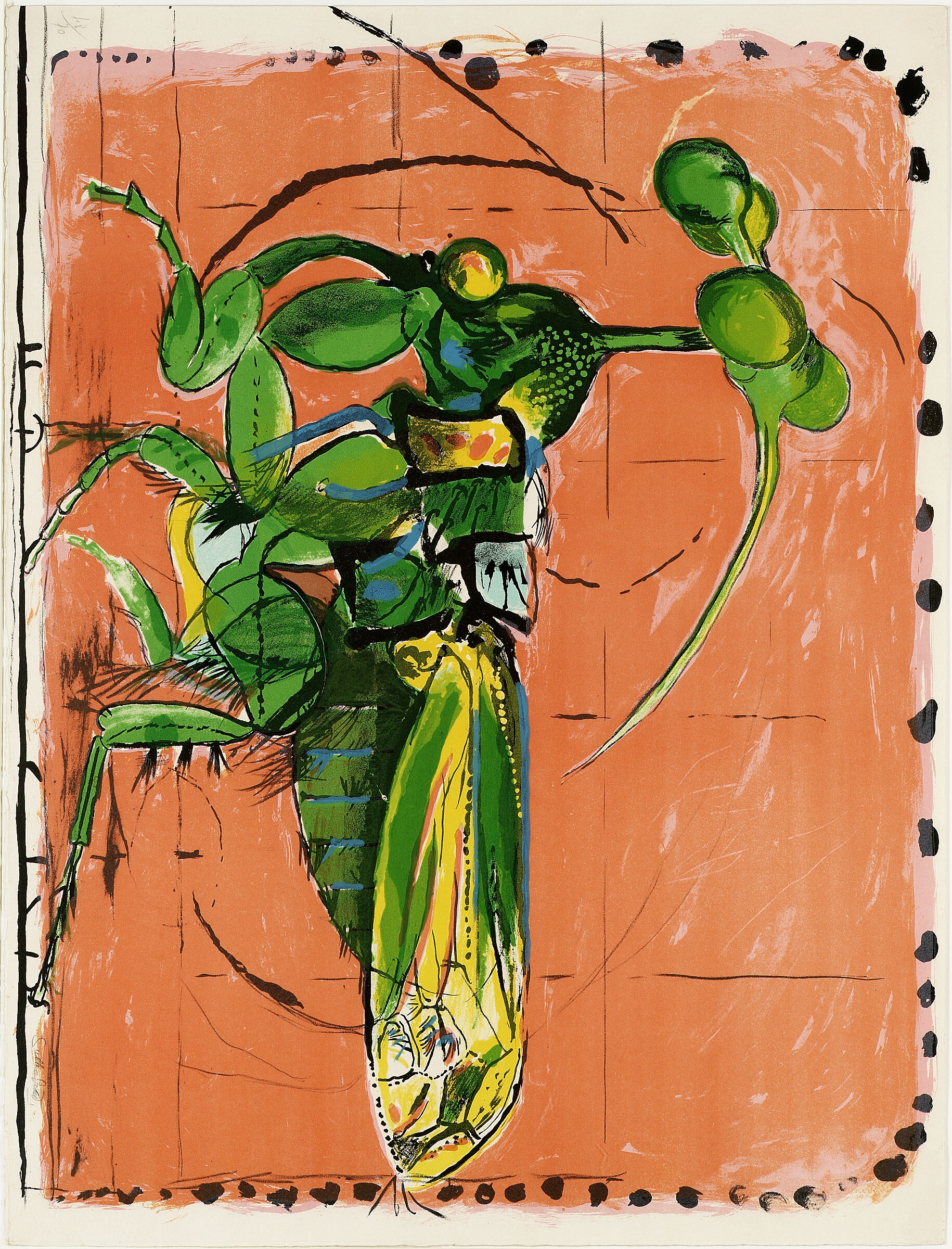 Insect Simulating Seeds