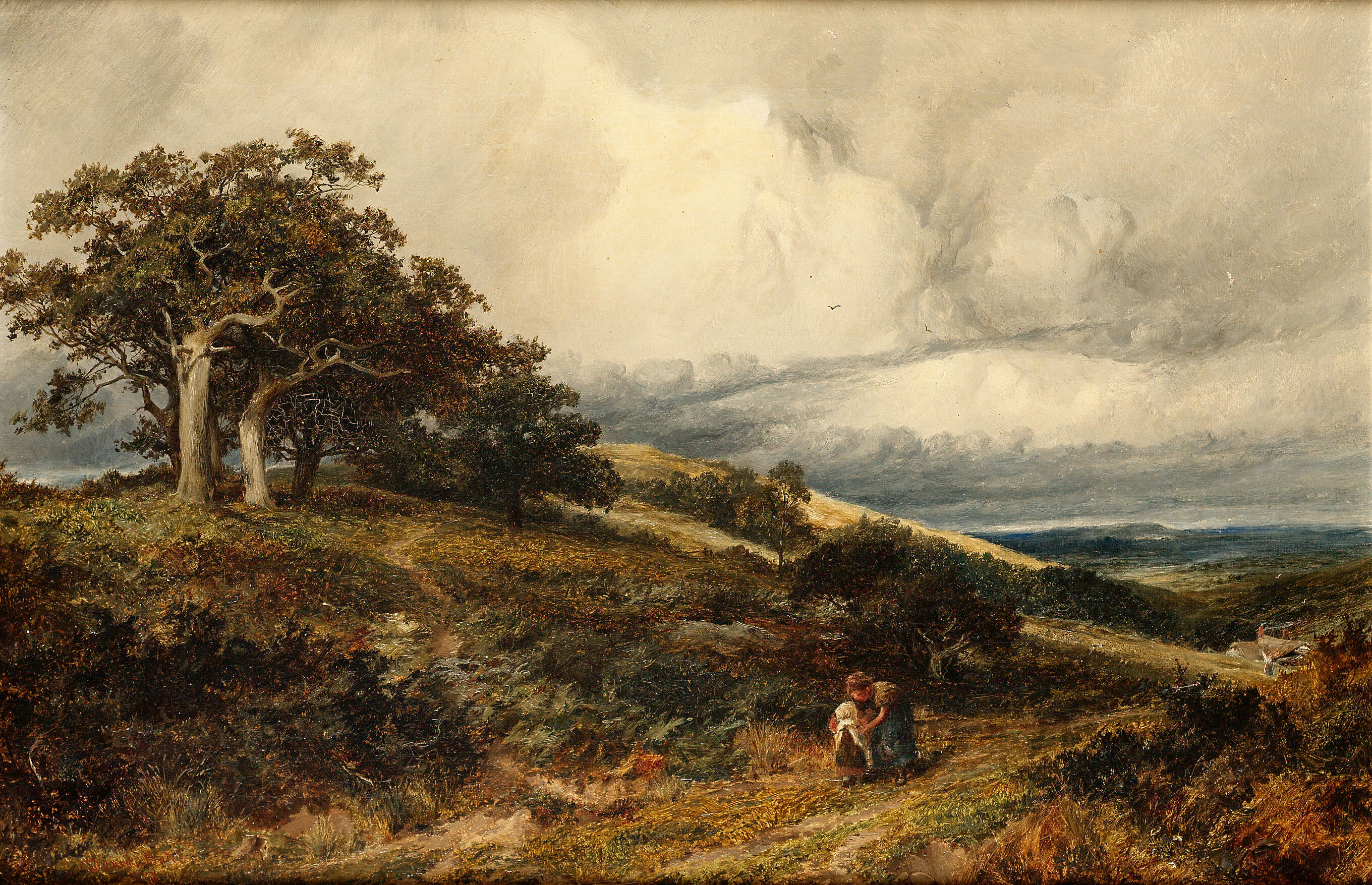 A Windy Day