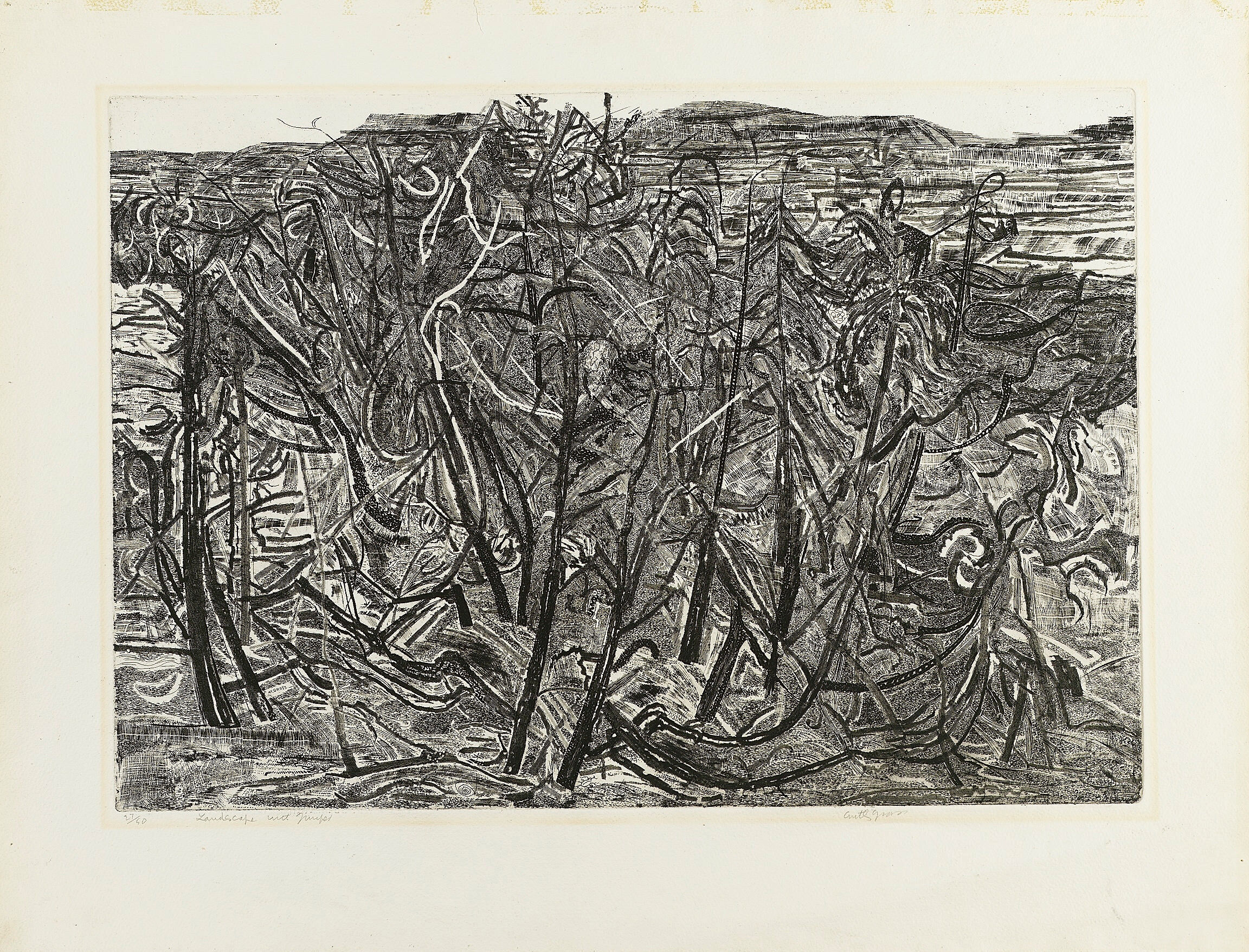 Landscape with Juniper
