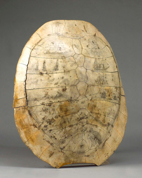 Bonhams : A scrimshawed Hawkesbill turtle shell, mid 19th century, 23 ...