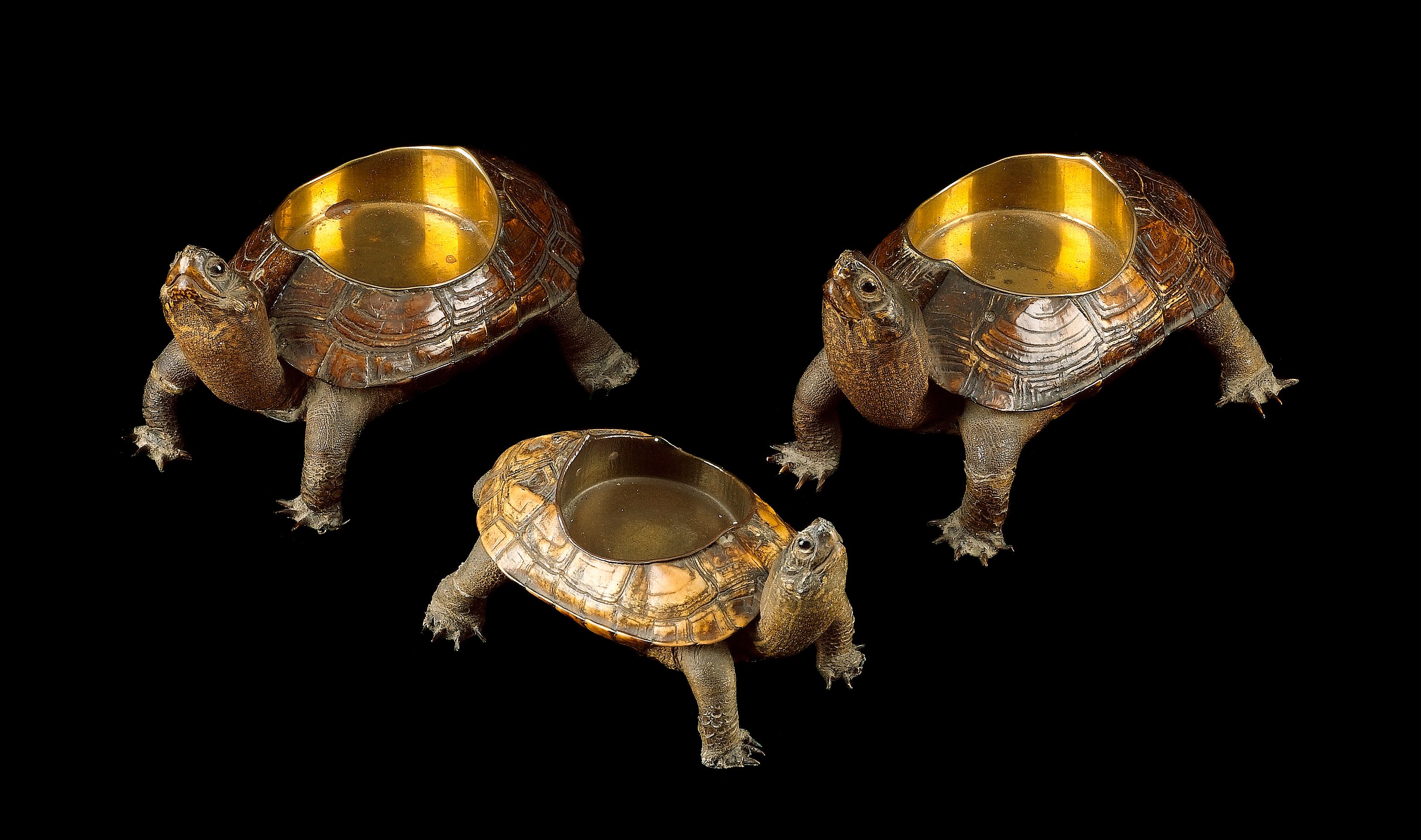Three full mount tortoise ashtrays