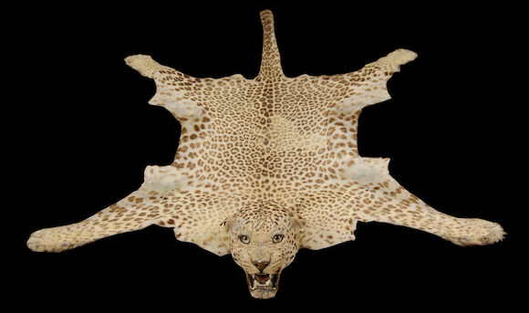 Bonhams : A leopard skin rug