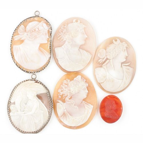 Five oval shell cameos, (6)