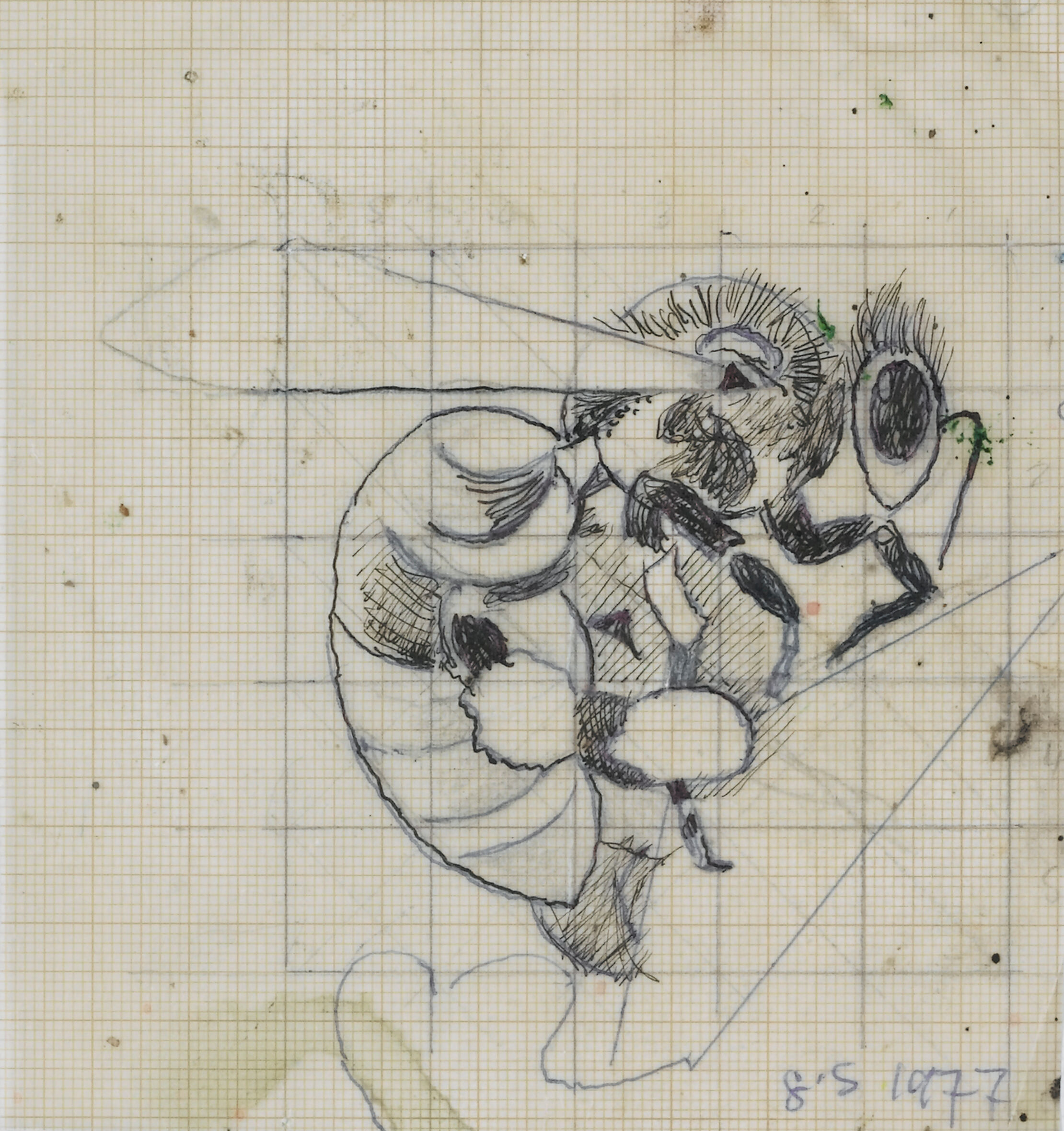 Bees - Thumb 2