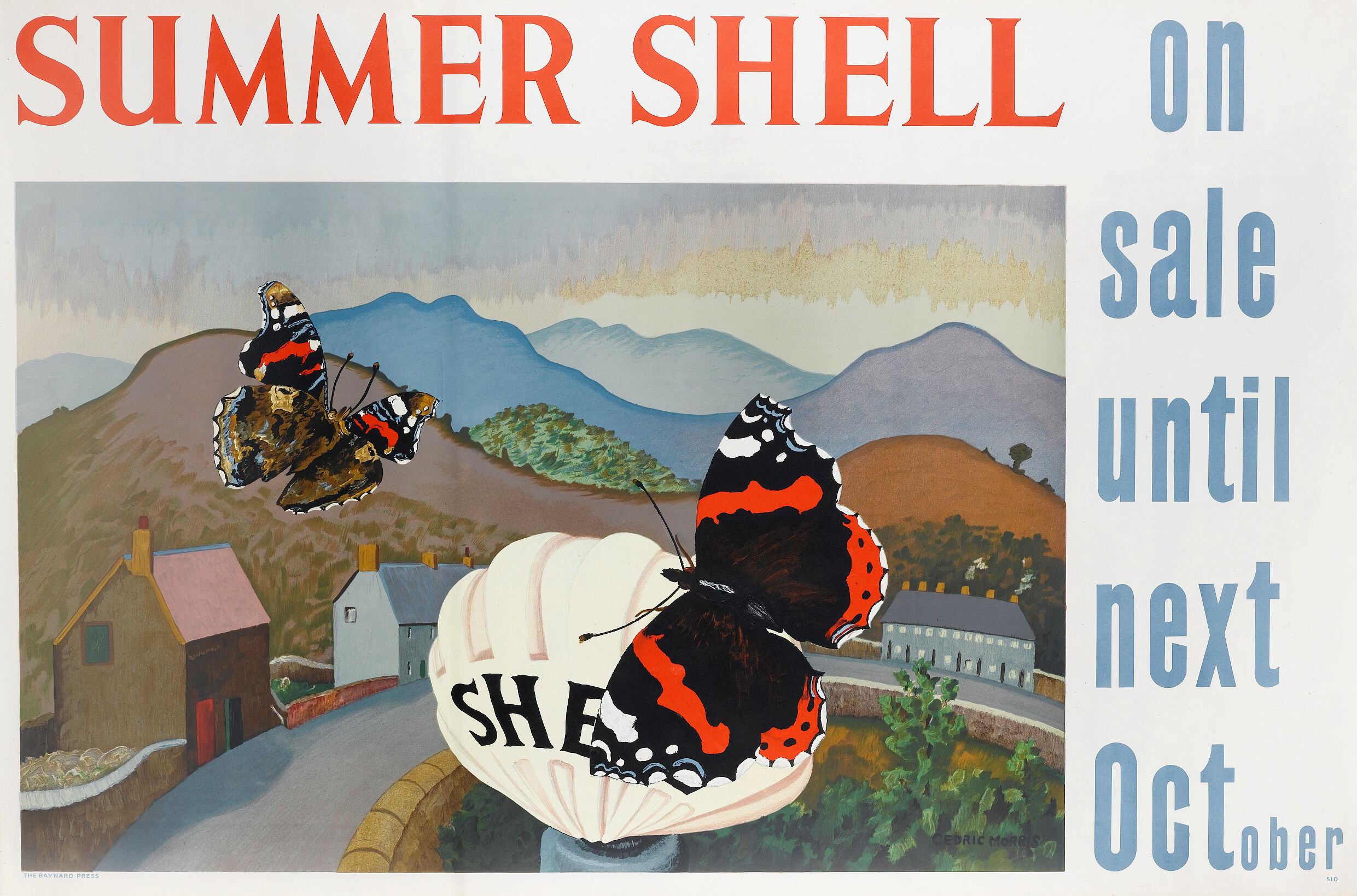 Summer Shell