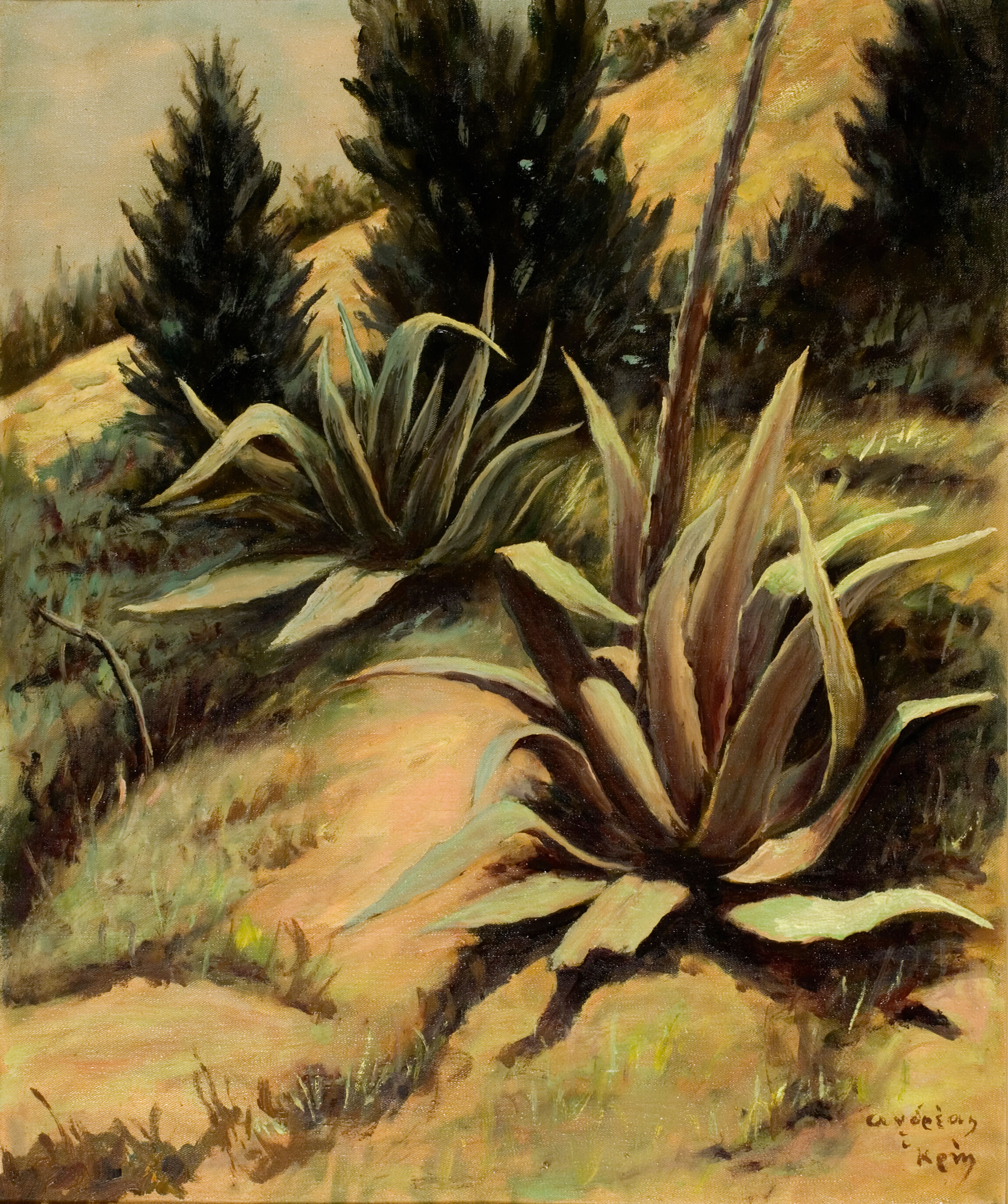 Slope with Cactus