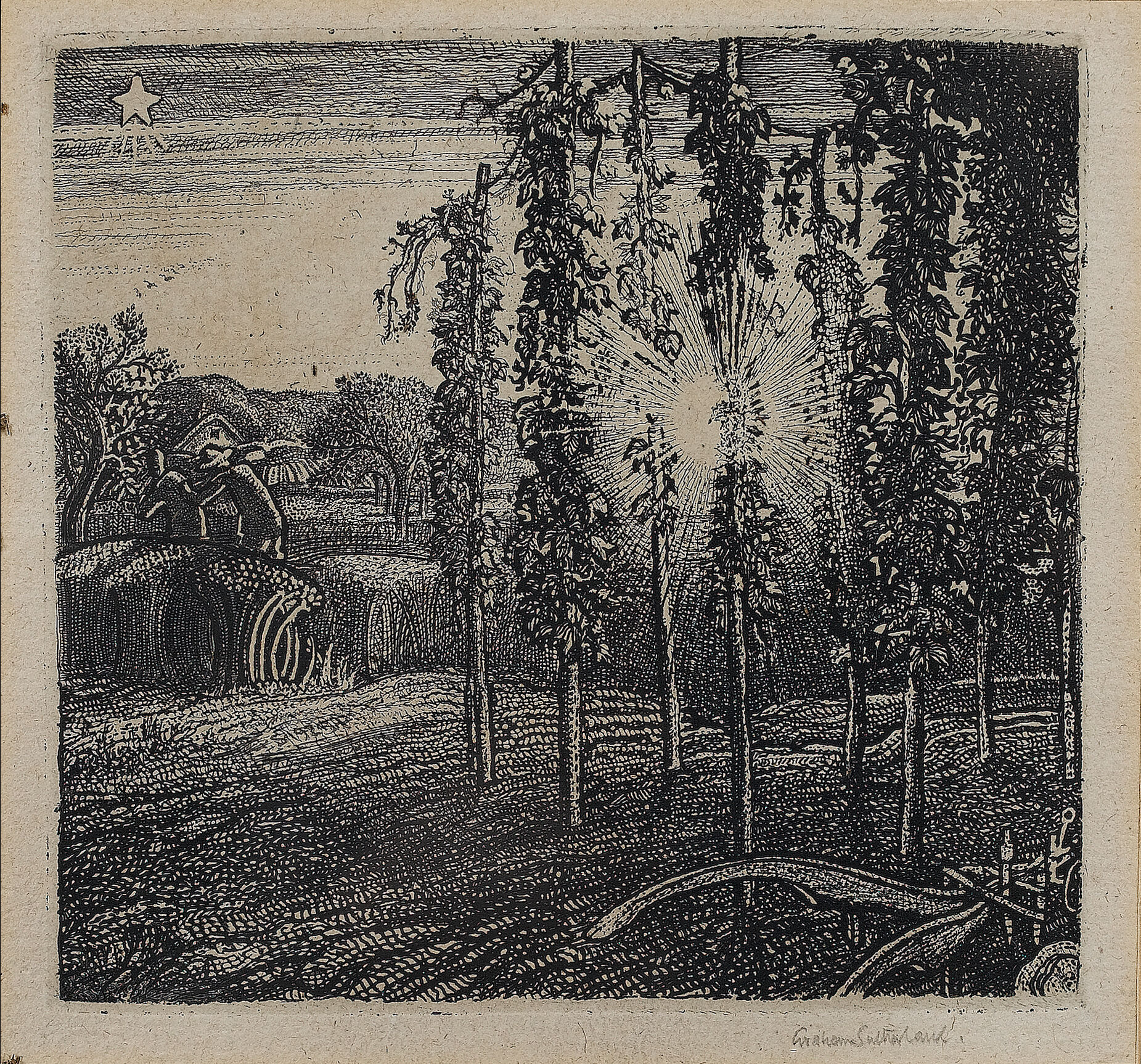 Crayfields