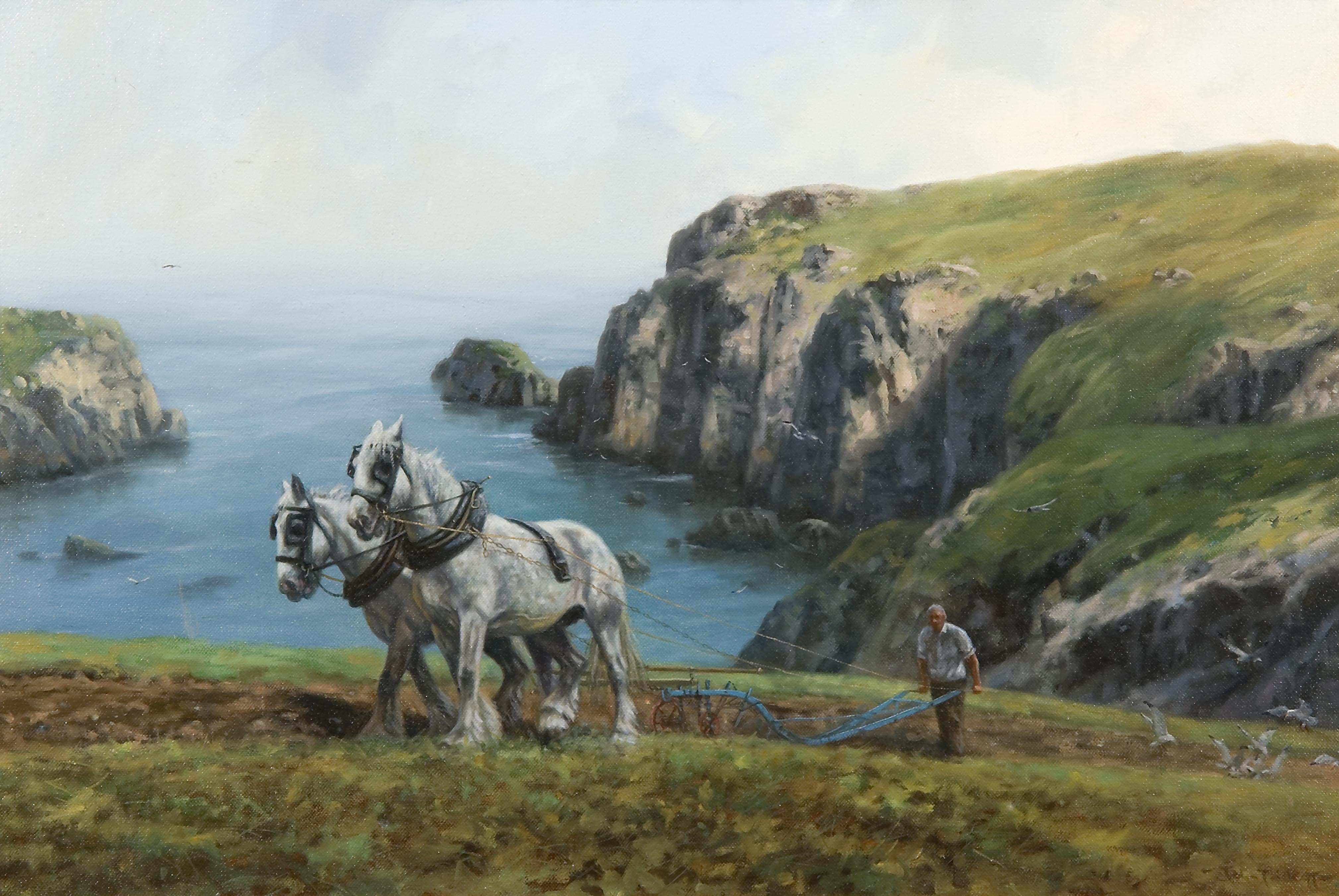 Rare First World War Harwin and Co Allied Teddy bear, English 19161918