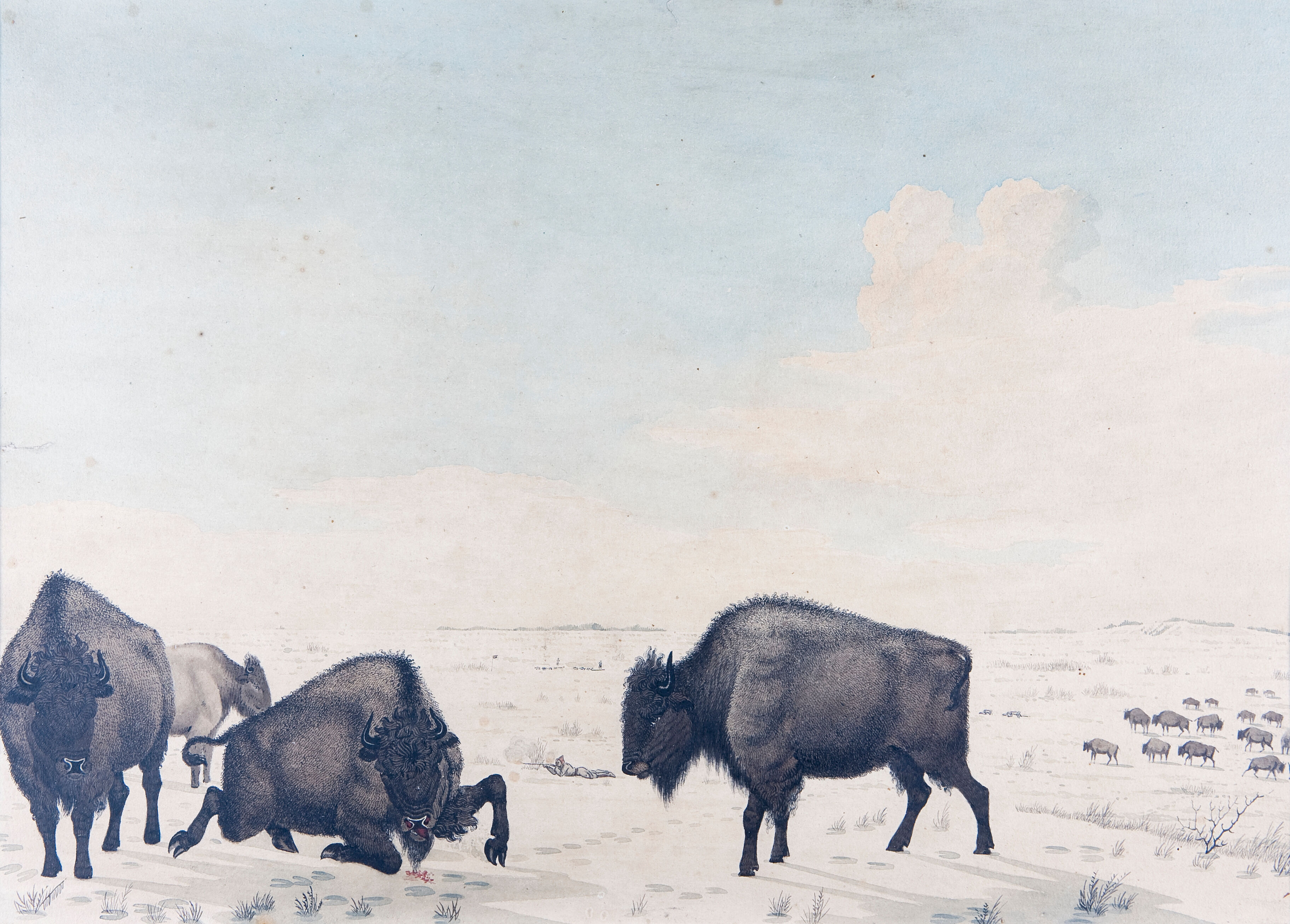 Peter Rindisbacher: upcoming auctions, appraisal insights and free art ...
