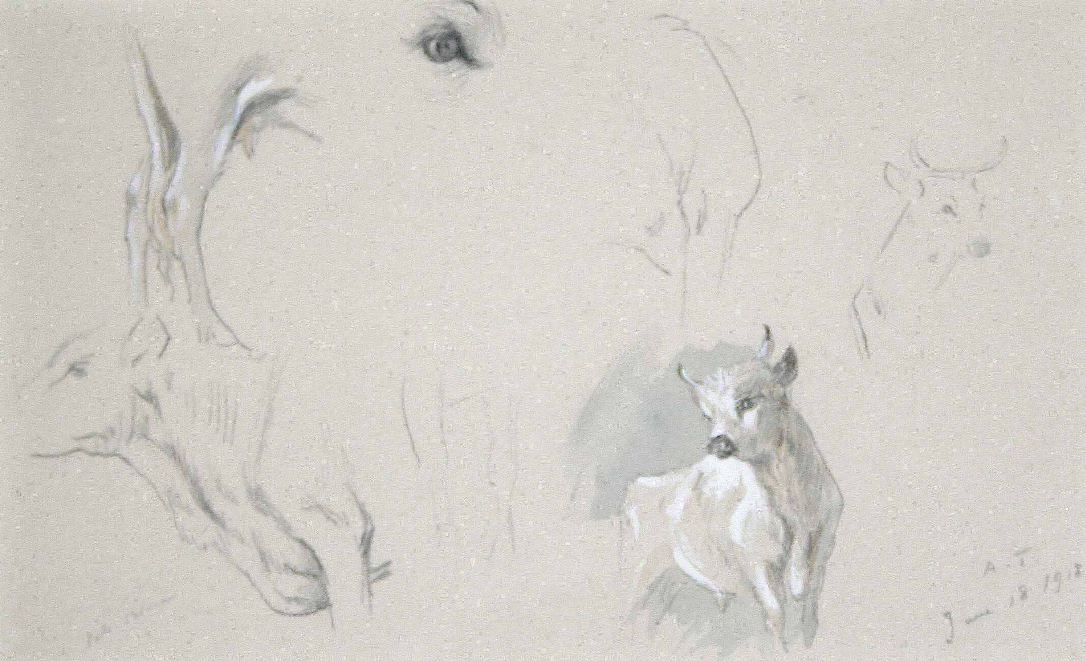 Wild white cattle - Cadzow initialled - auctions & price archive