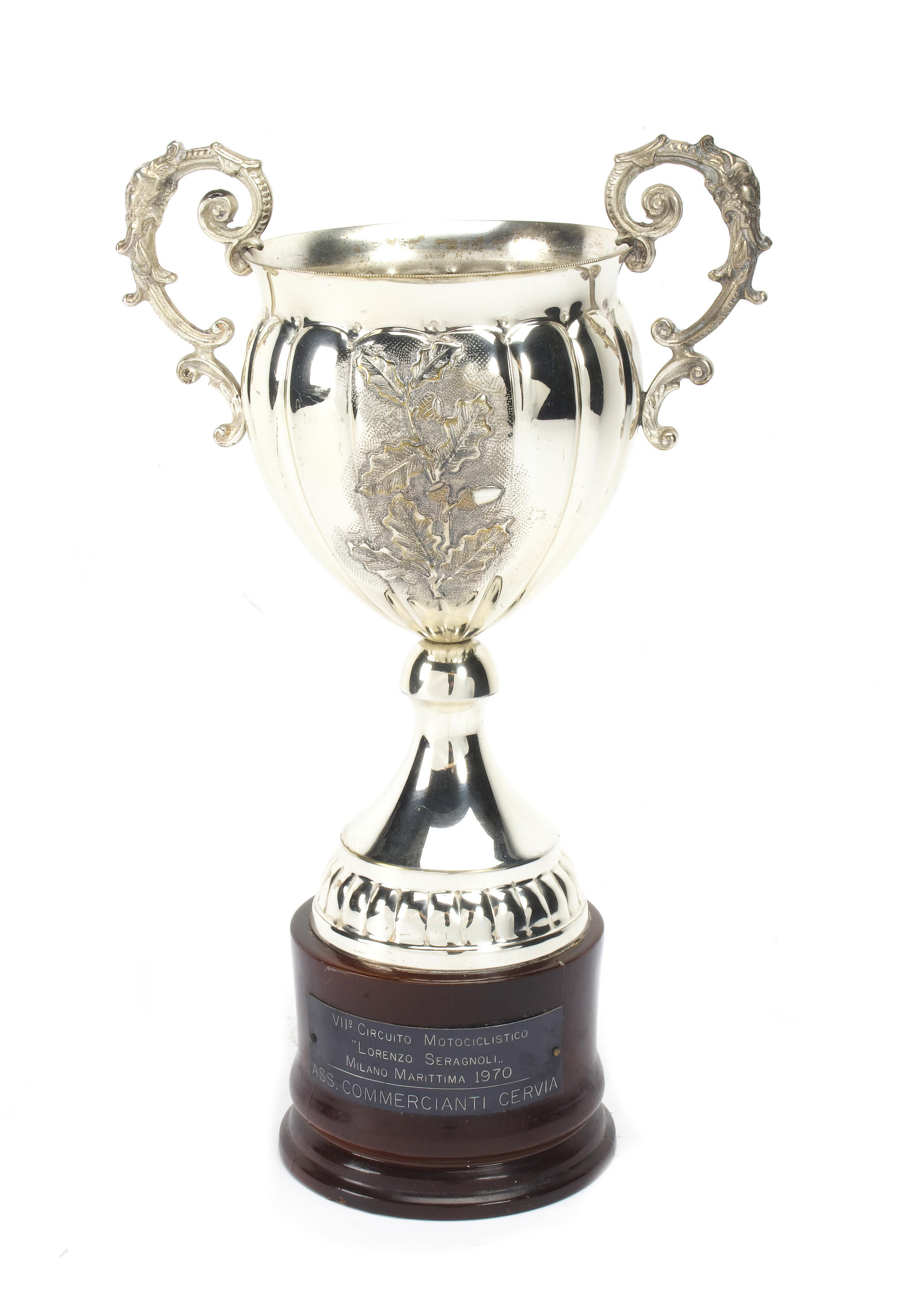 A twin-handled trophy,