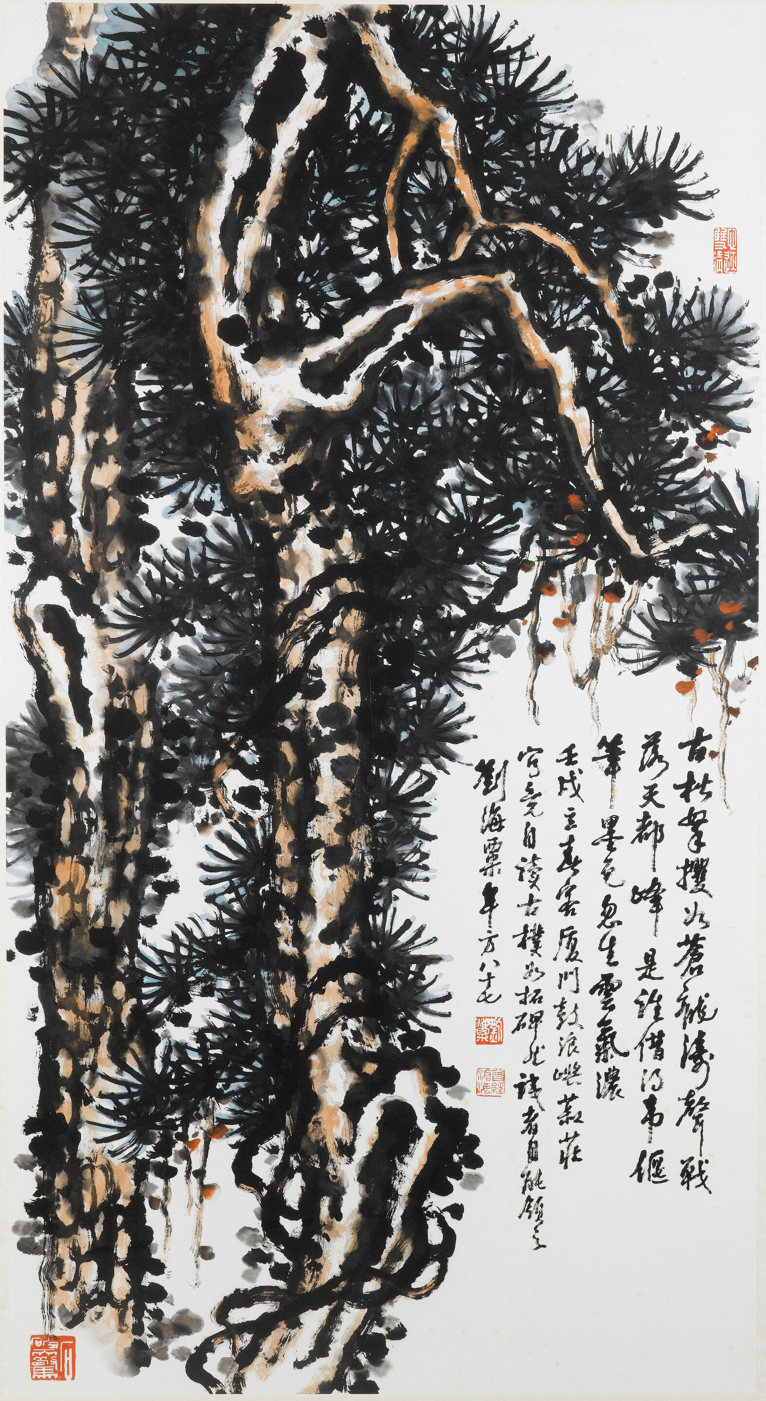 Pine