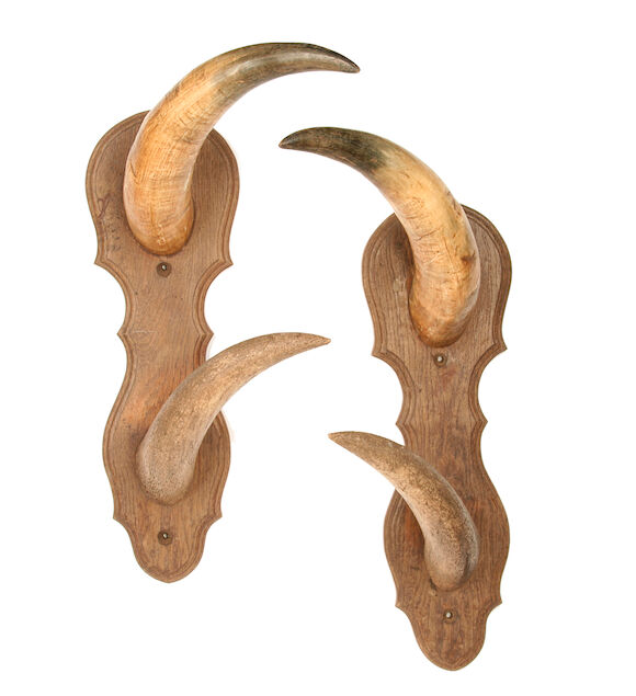 Bonhams : A pair of horn coat racks