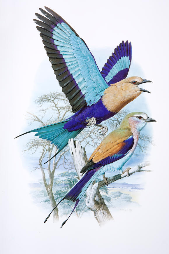 Bonhams : Forshaw J. and Cooper W.T. Kingfishers and Related Birds