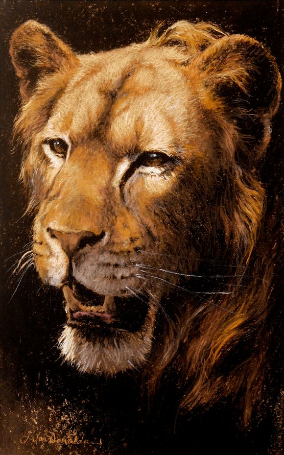 Bonhams : Kim Donaldson (South African, born 1952) Warthogs Together