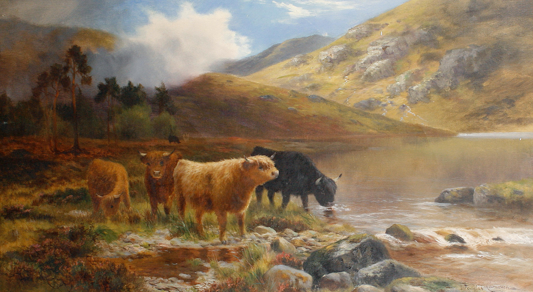 Bonhams : Douglas Cameron (British 19th/20th Century) Highland cattle