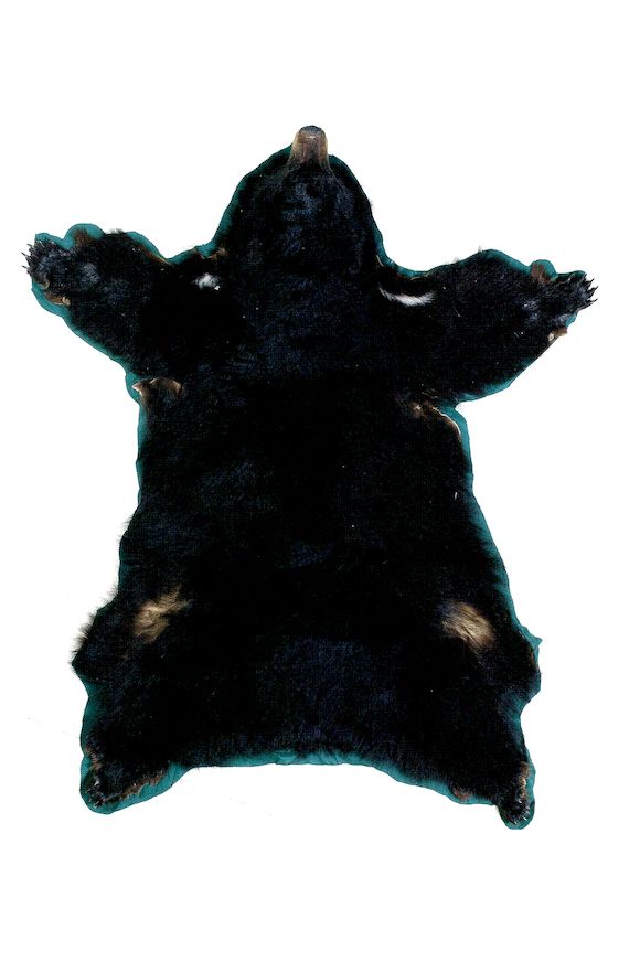 Bonhams : A medium sized North American black bear rug