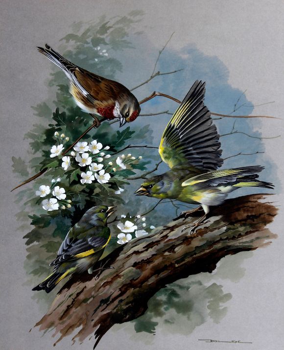 Bonhams : Basil Ede (British, born 1931) 'Greenfinch and Linnet