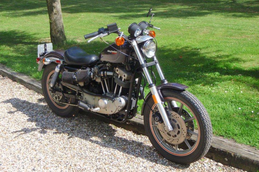 harley davidson xr1000 for sale