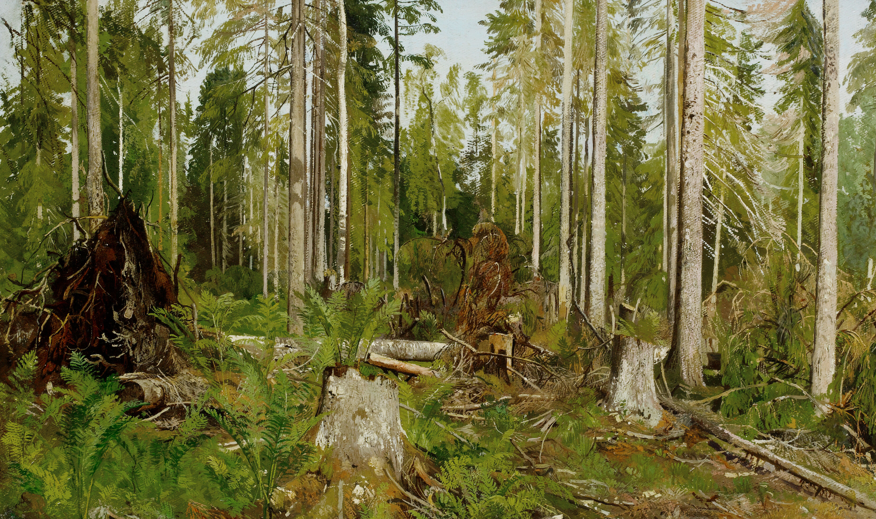 Pine Forest; A Study