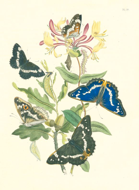 Bonhams HUMPHREYS (HENRY NOEL) and JOHN OBADIAH WESTWOOD British