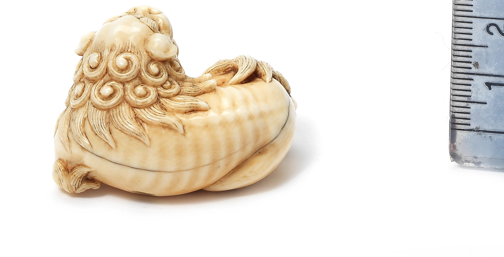 THE SHISHIKUI nit ivory