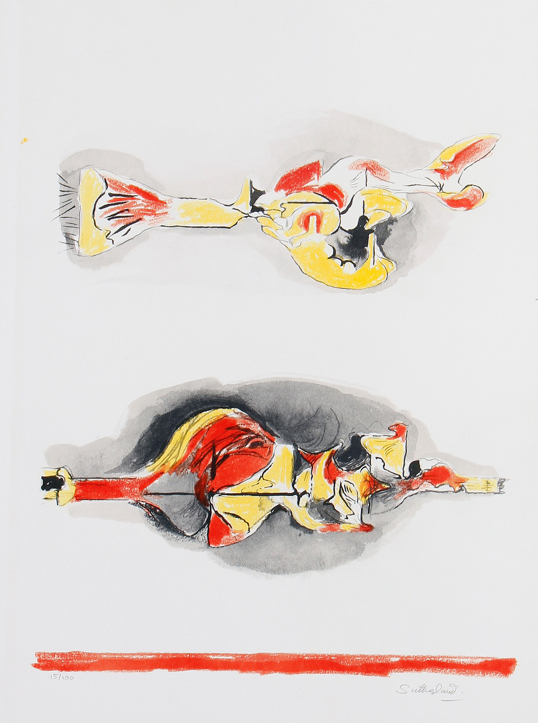 Flying and Floating Forms