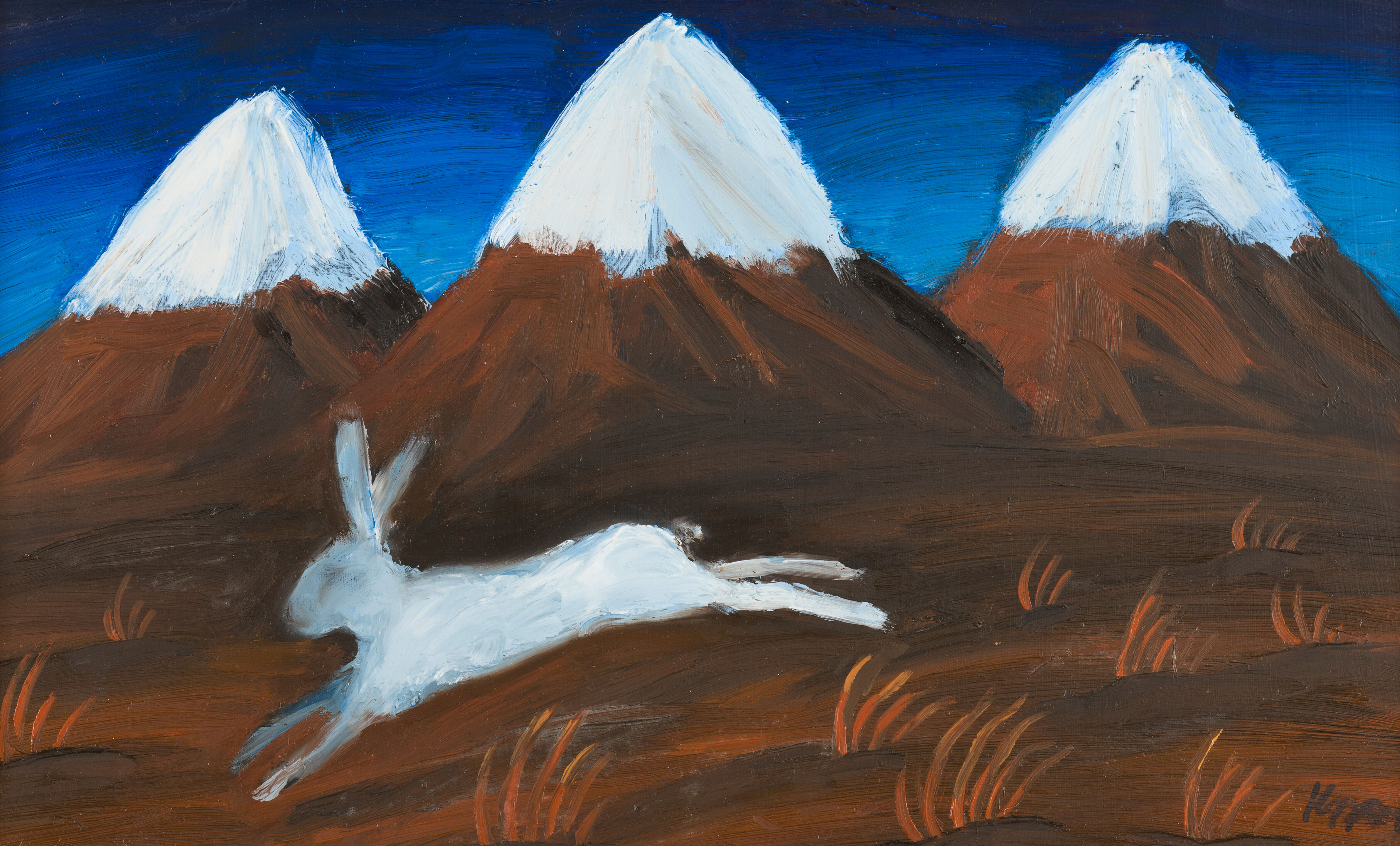 Mountain Hare