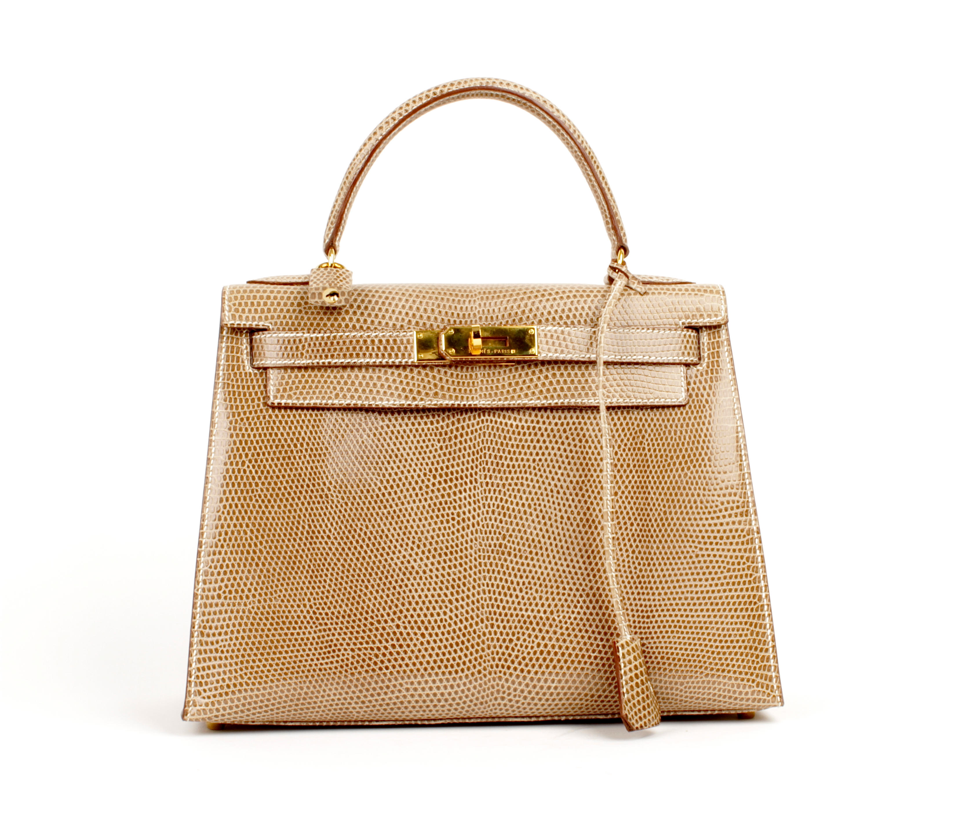 Hermes Birkin 25 Lizard Natura: Lizard Skin Handbag