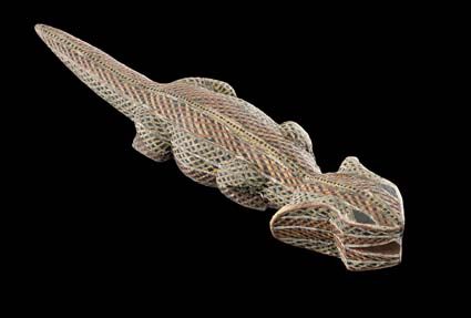 Frilled Necked Lizard