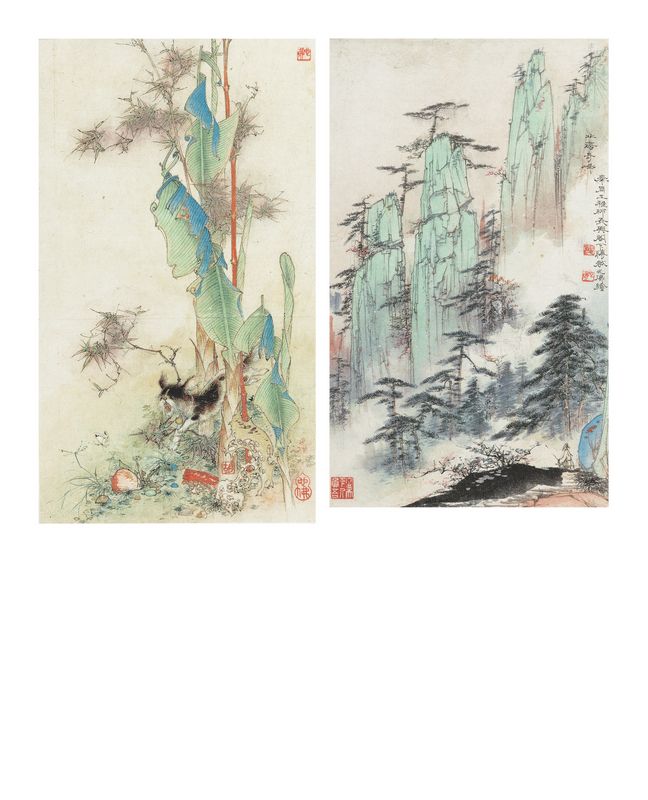 Landscape and Cat